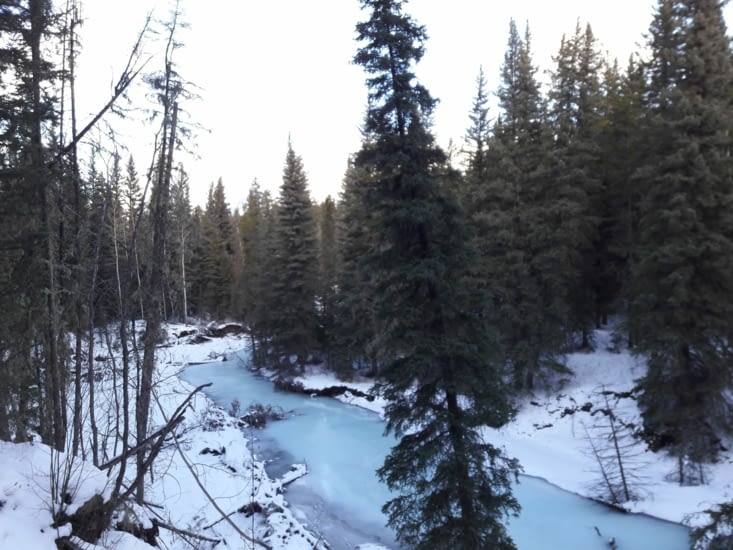 Jolies couleurs, n'est-ce pas ?