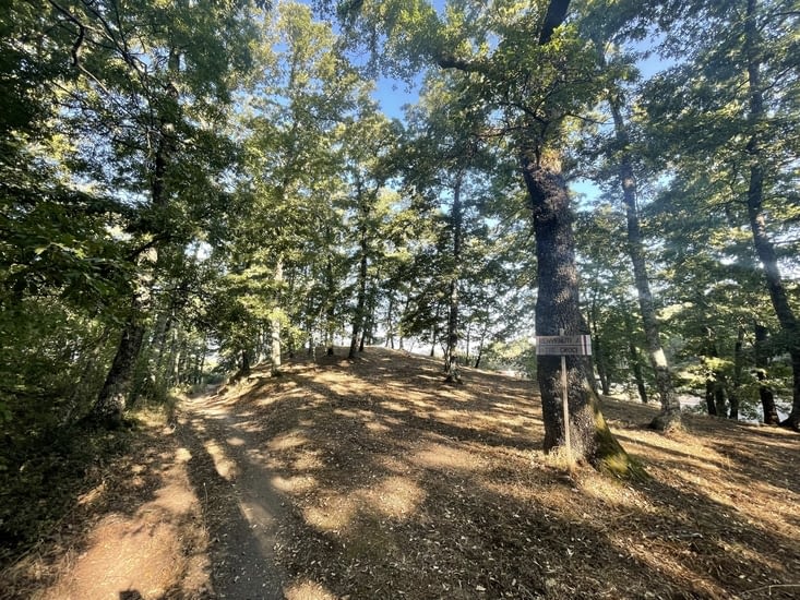 15 km plus loin je suis encore sous la forêt