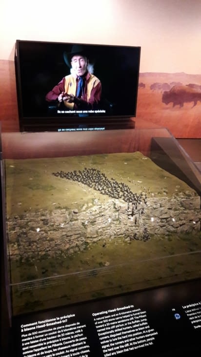 Présentation des techniques de chasse au bison