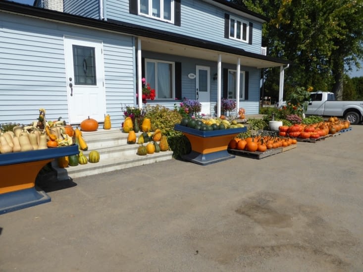 C'est bientôt Halloween ?