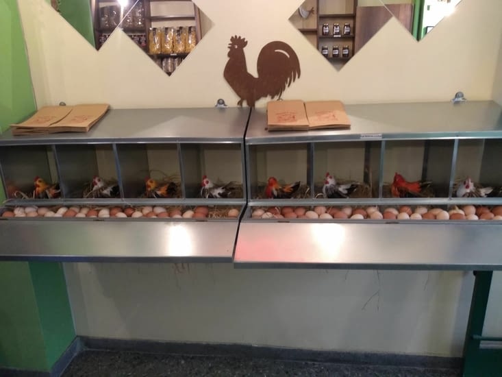 Magasins d oeufs avec poules 2.0