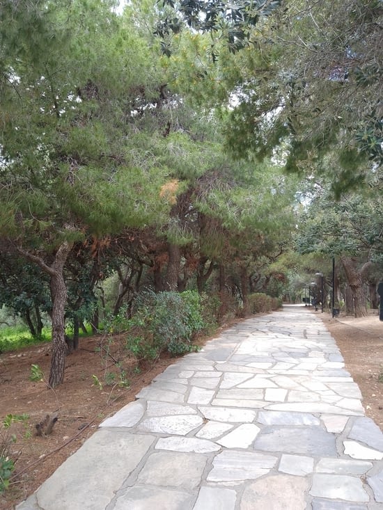 Montée vers les muses