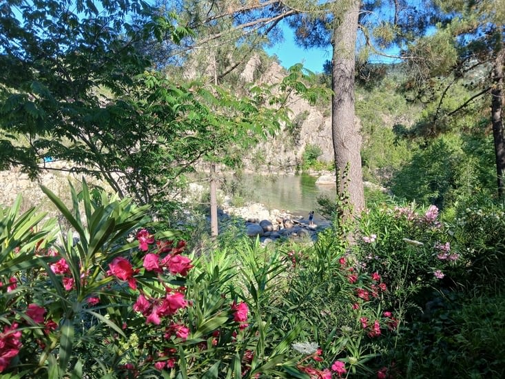 Piscine natuelle