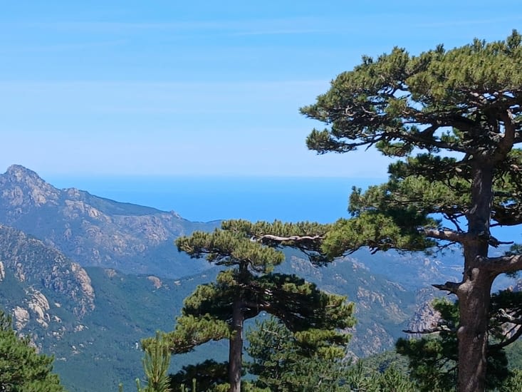 Vue du haut du col