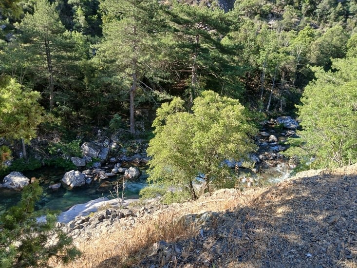 Le torrent
