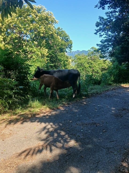Rencontre de rando