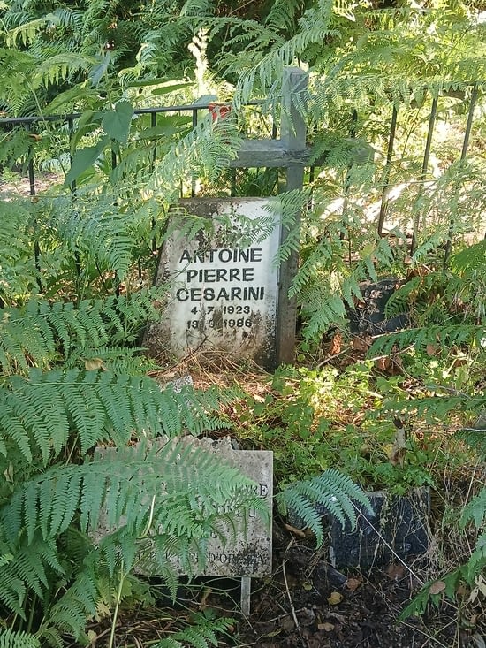 Tombe perdue...
