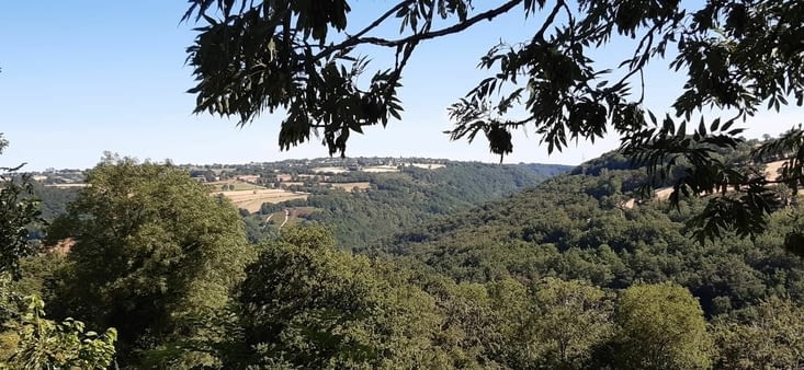 Paysage