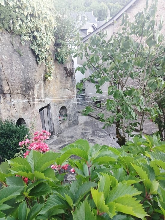 St leons 2
