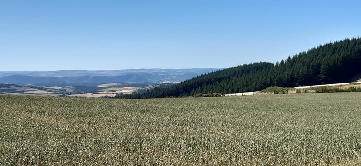Paysage