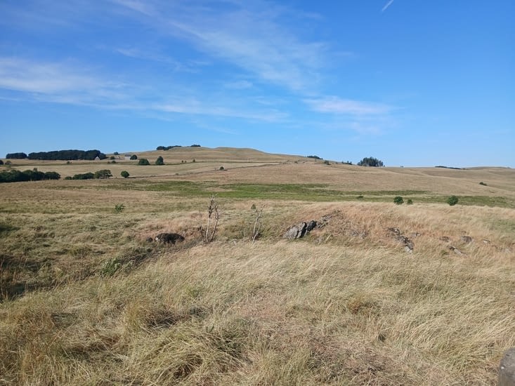 Plateau d Aubrac