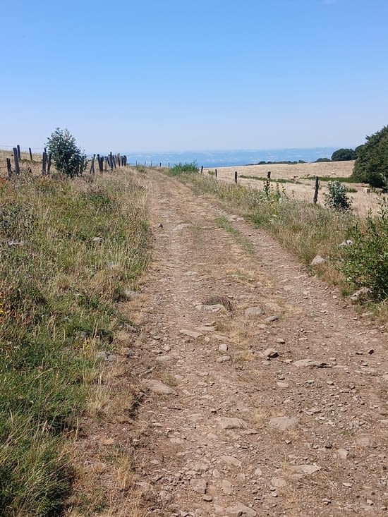 Chemin du matin