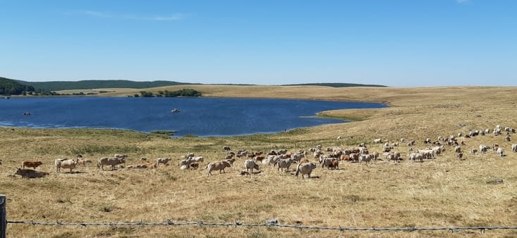Paysage du plateau