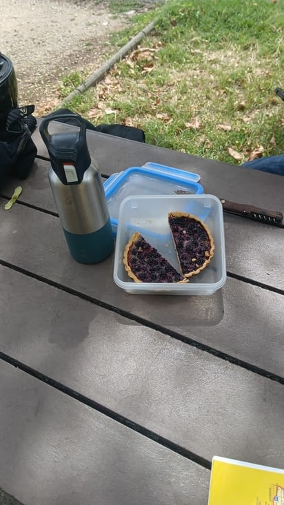 Le premier picnic ,sans cheddar😭