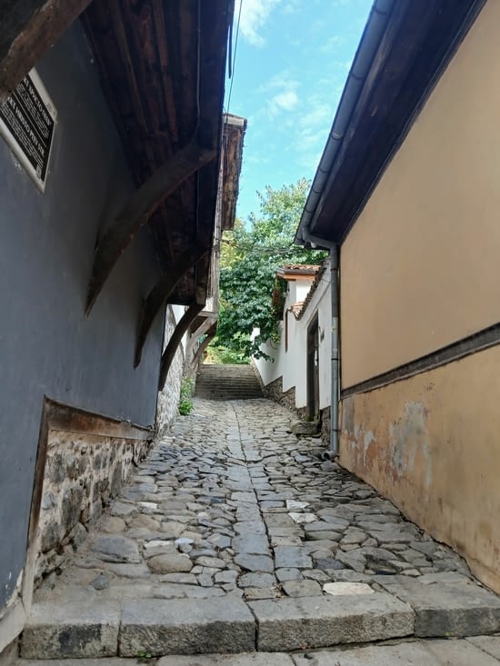 Ruelle