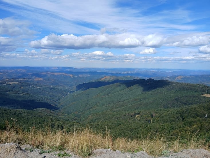 Vue 1
