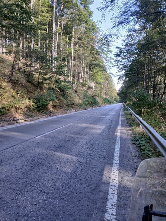 Route foret