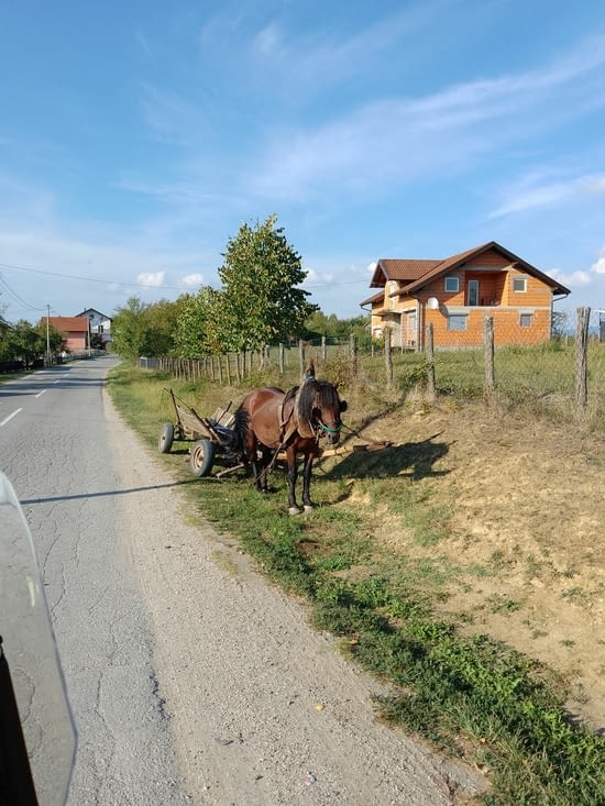 Cheval et charrette