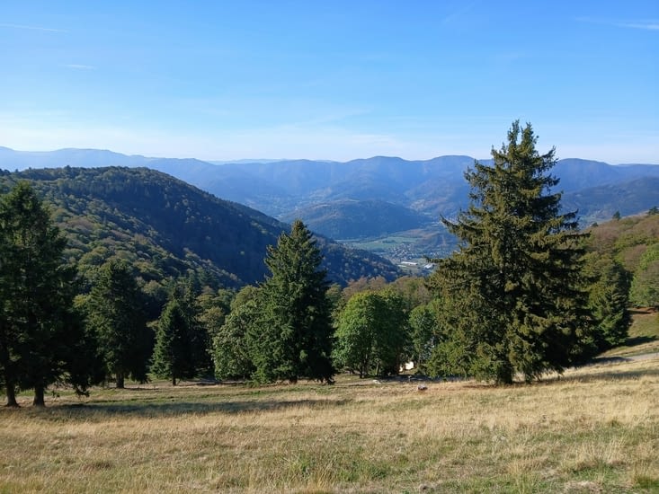 Dans la descente