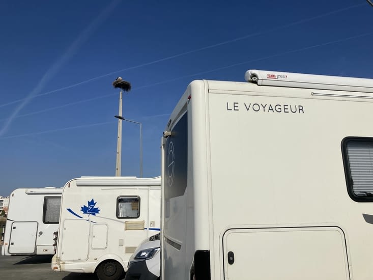 Gardienne de nuit madame la cigogne