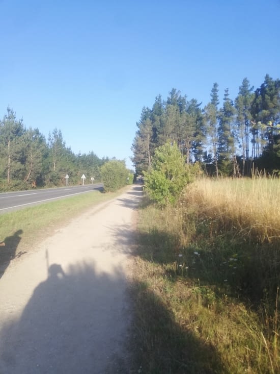 Le chemin en Galice