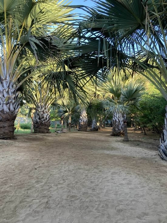 Marche (très) matinale