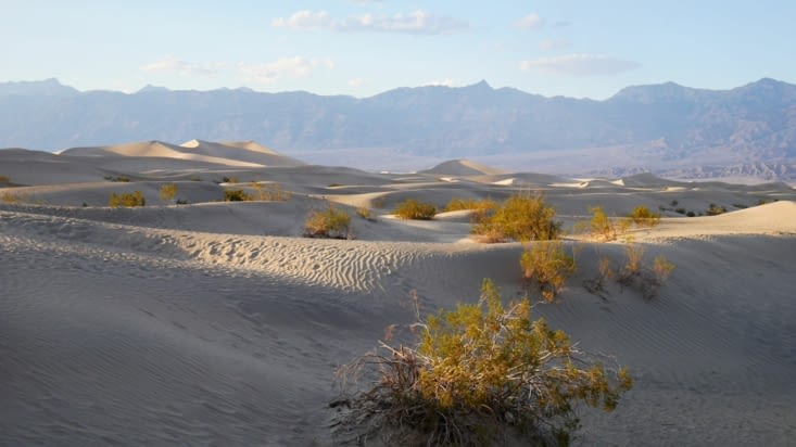 Les dunes de la vallée de la mort