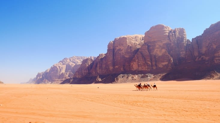 Une caravane de chameaux