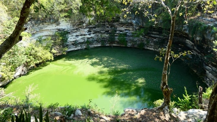 Le cénote Sagrado et son eau très verte