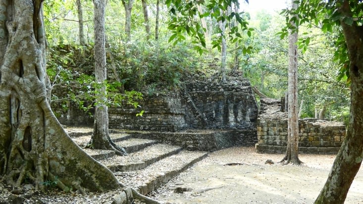 Le temple dans la jungle