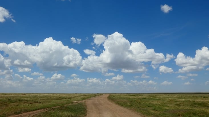 Le début du Serengeti et de ses immenses plaines
