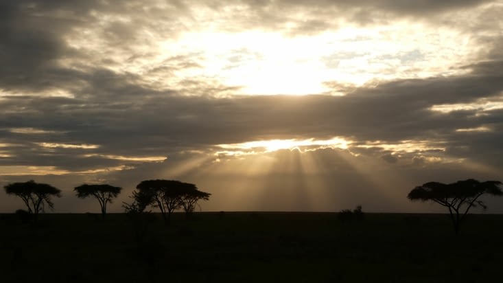 Au-revoir Serengeti, tu vas nous manquer : (