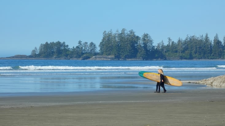 Pacific Rim résumé en une image : le littoral, les pins et cèdres, l'océan et ses surfeurs