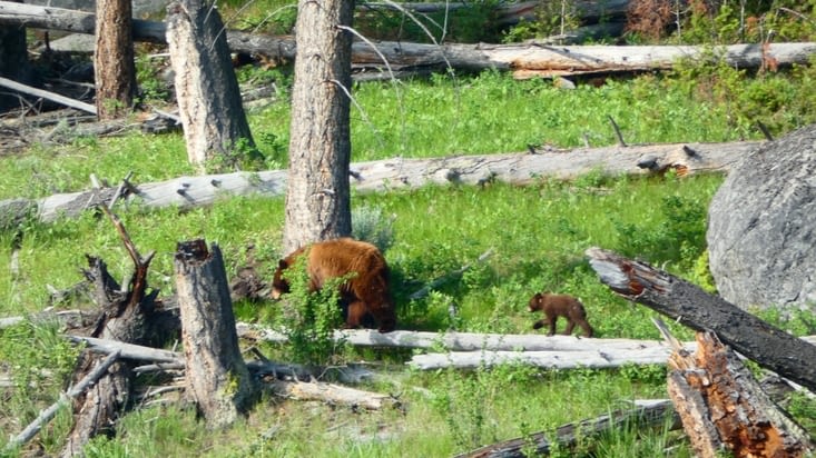 Un des moments les plus magiques du séjour