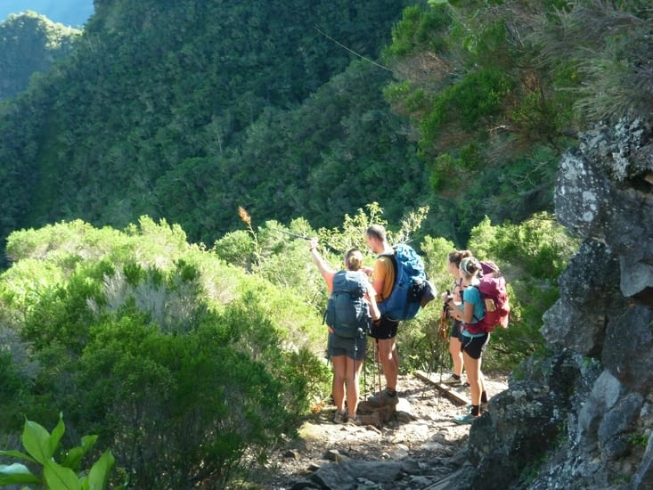 Que regardent-ils donc ?