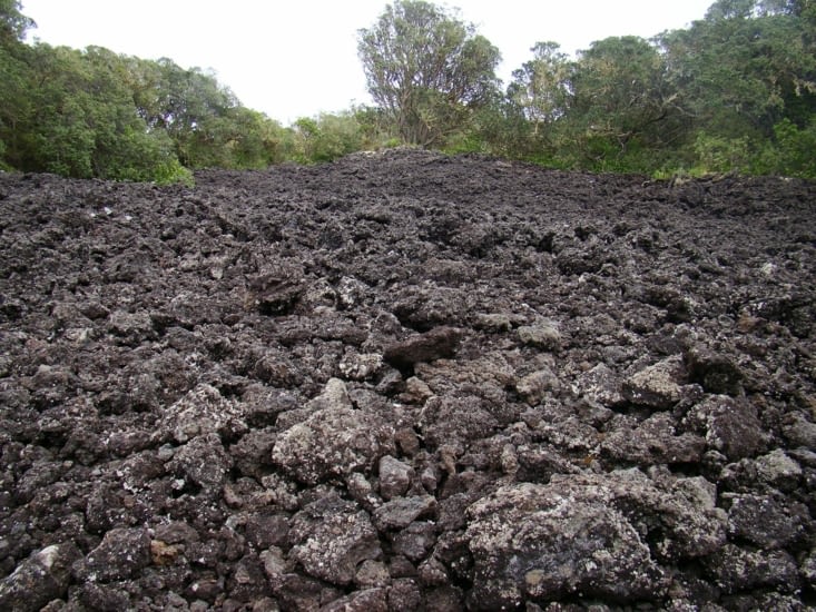 Champ de roche volcanique