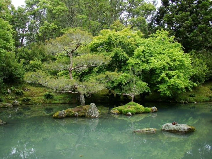 Jardin japonais