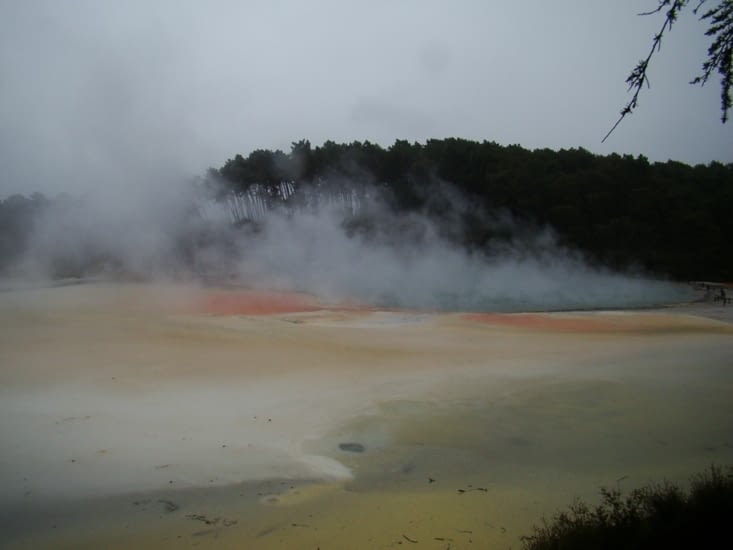The champagne pool