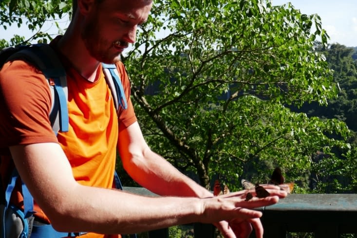 Rémy dompteur de papillons