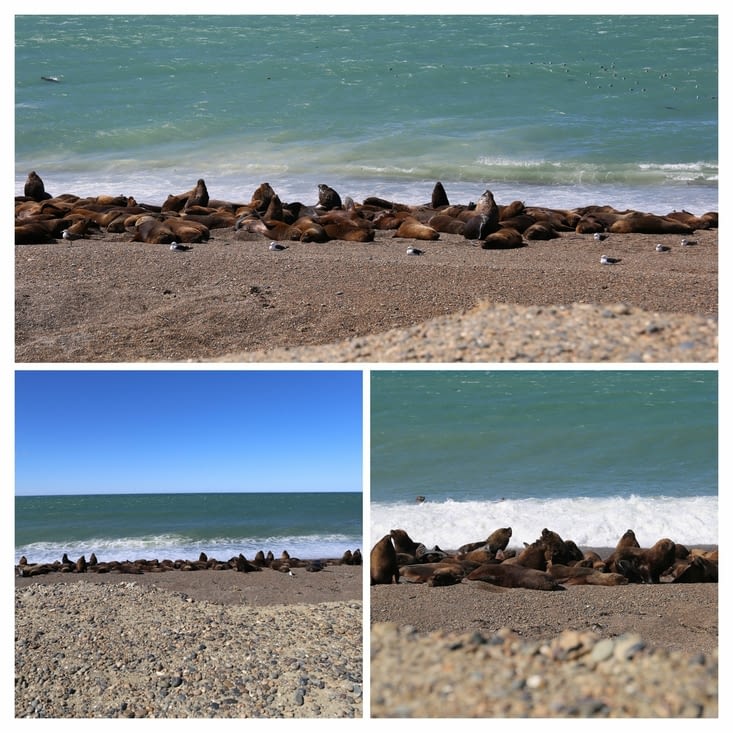 Caleta Olivia : jour de gros vent, pas de quoi remettre en cause la sieste !