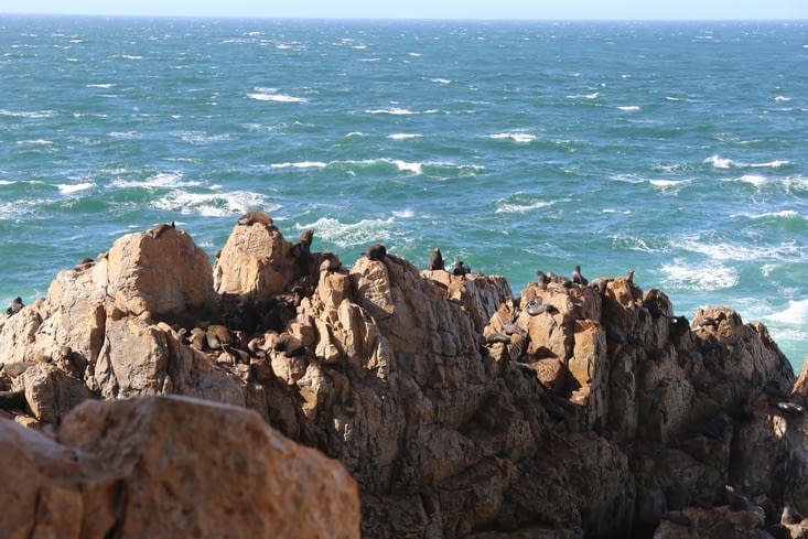 Les mètres carrés sont chers ici…