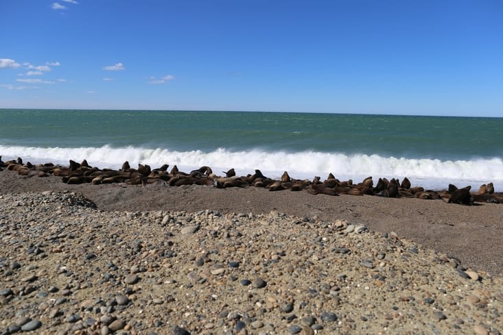 Les rouleaux font rugir la troupe, la marée monte !😀