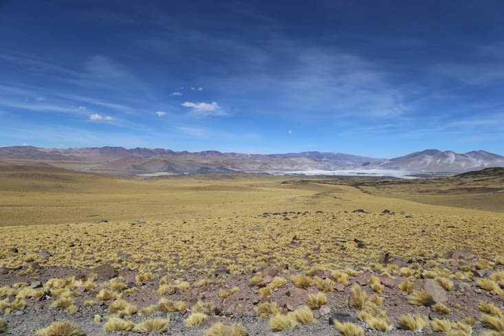 Tempête de jaune…