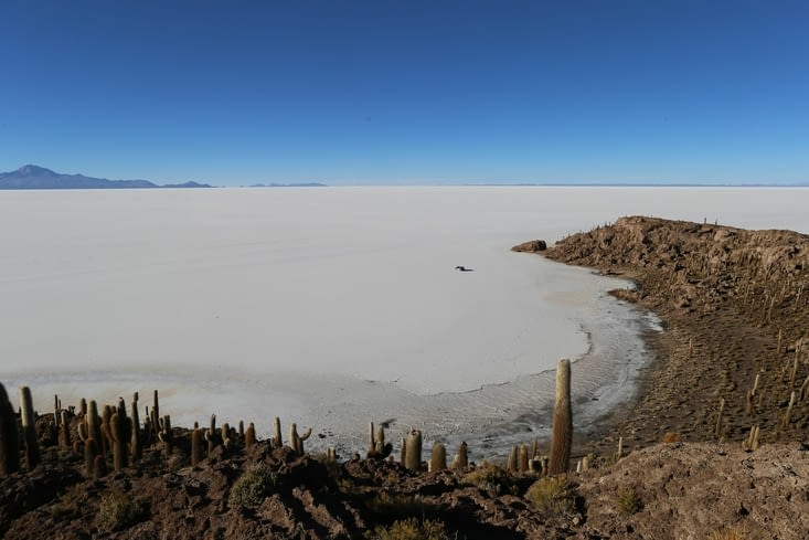 Isla Incahuasi, au milieu de nulle part.