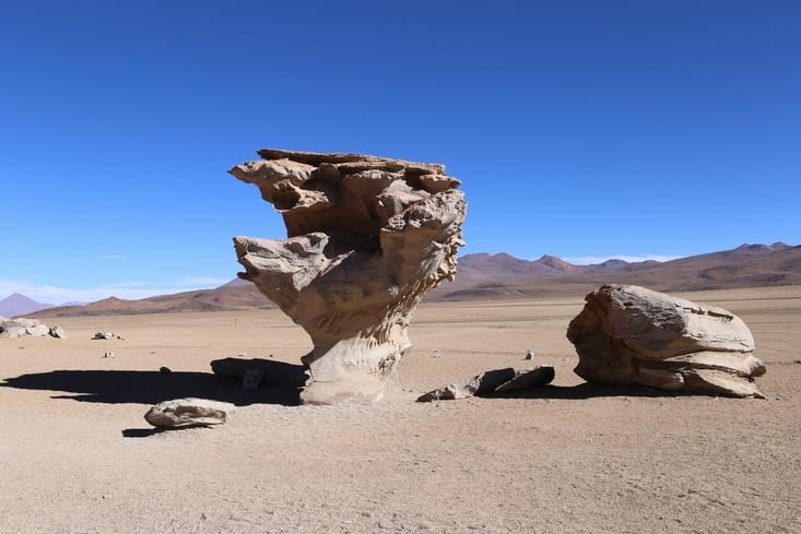 Arbol de piedras, un classique.