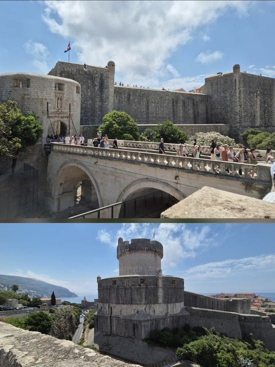 Pas un chat aujourd'hui 😂