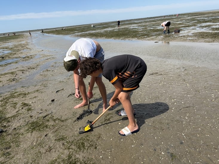 Pêche à la palourde au passage du gois