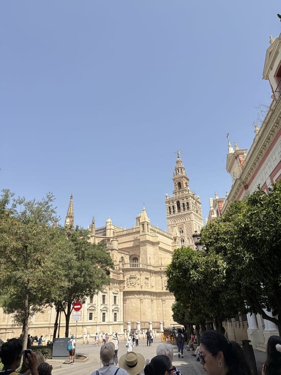 La cathédrale