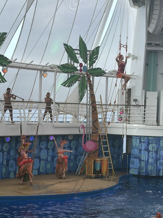 Encore un superbe spectacle à l aquashow