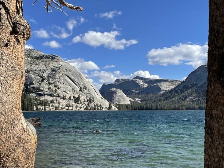 Sur le plateau du Yosemite